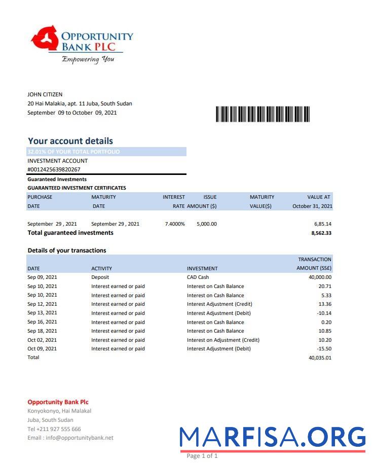 Realistic South Sudan Opportunity bank statement excel real example